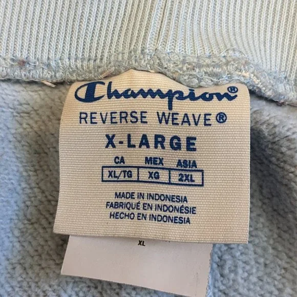 Champion Reverse Weave Paint Splatter Shorts - Picture 3 of 5